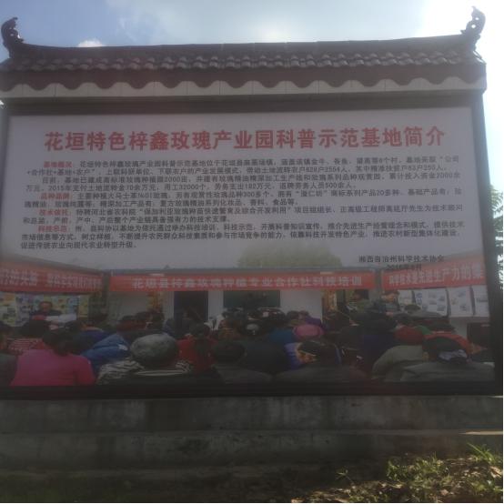 tapplay官网