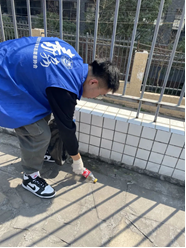 tapplay官网