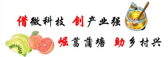 tapplay官网
